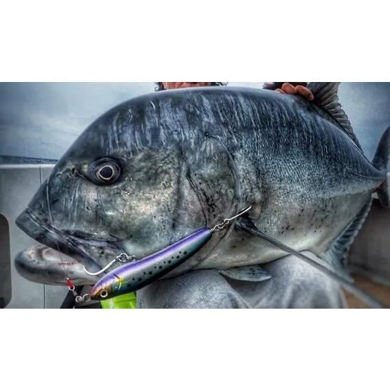 DEEP BLUE OCEAN × SEA VentureX COBRA 220F-110G