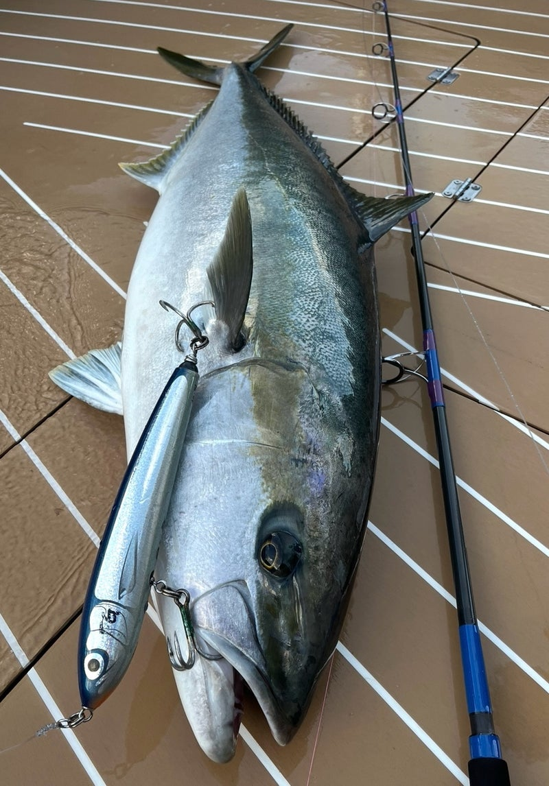 CARPENTER STRIKE EAGLE SE150 FG STICKBAIT
