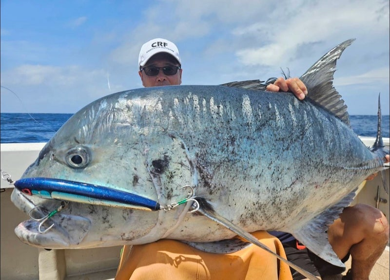 CARPENTER STRIKE EAGLE SE150 FG STICKBAIT