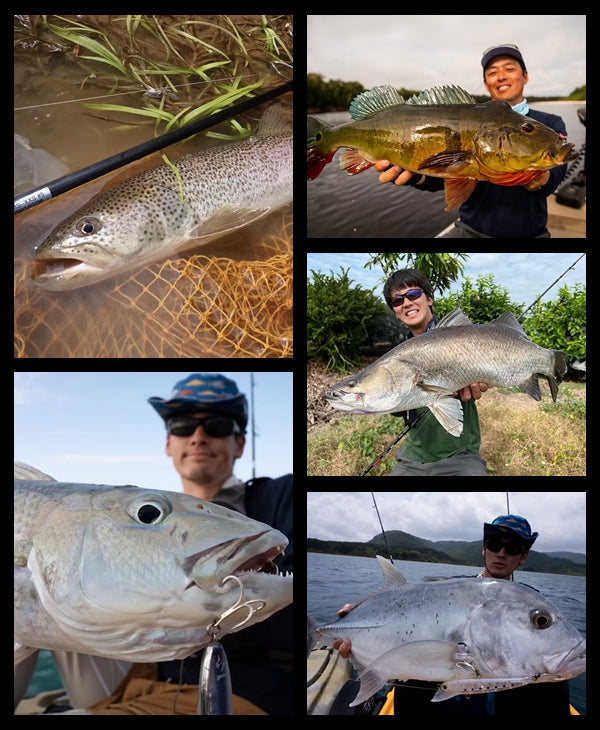 TRANSCENDENCE MISTRAL-XX Rod