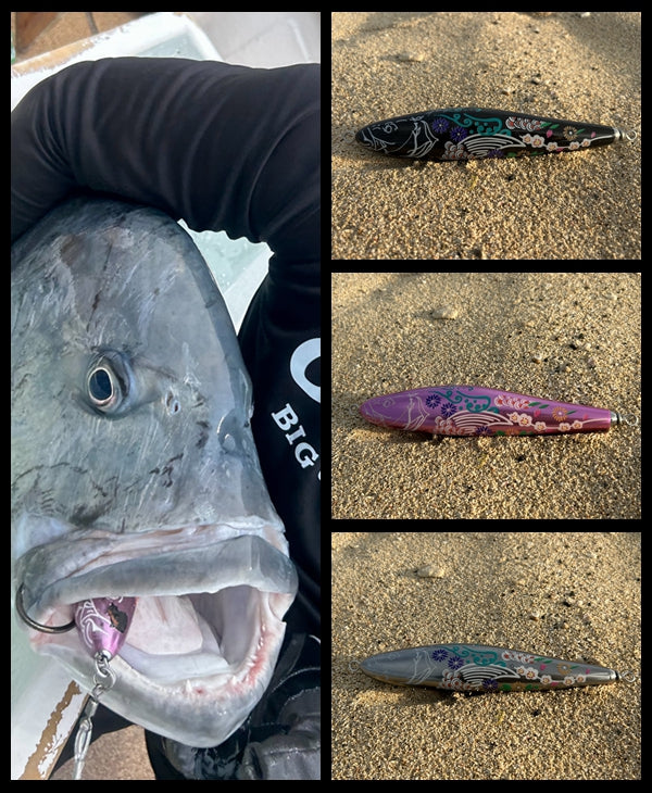 Paradigm Shift Singularity Floating Stickbaits F210