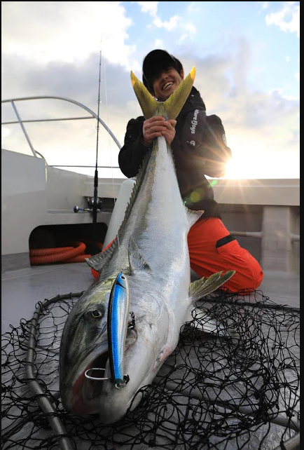 NATURE BOYS SURFISH 220F