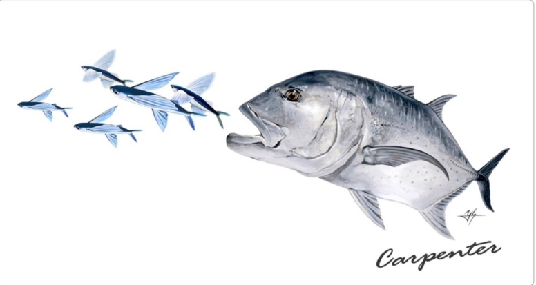 2023 Carpenter Sticker