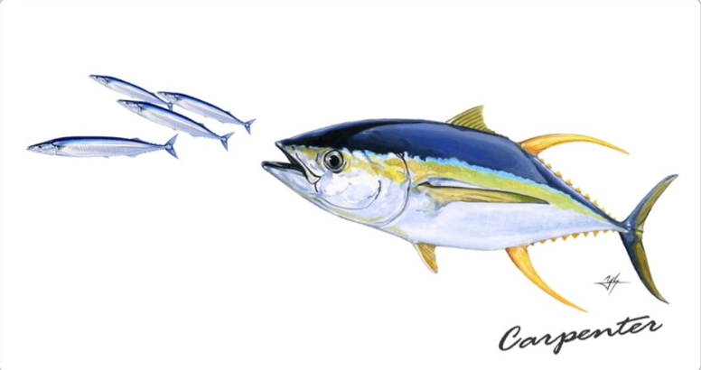 2023 Carpenter Sticker