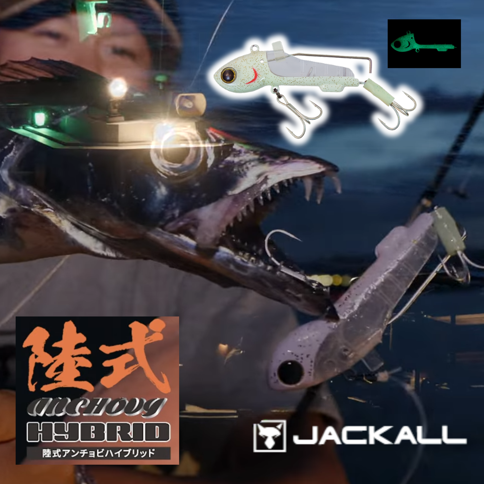 Jackall Land Style Anchovy Hybrid Hairtail Lure