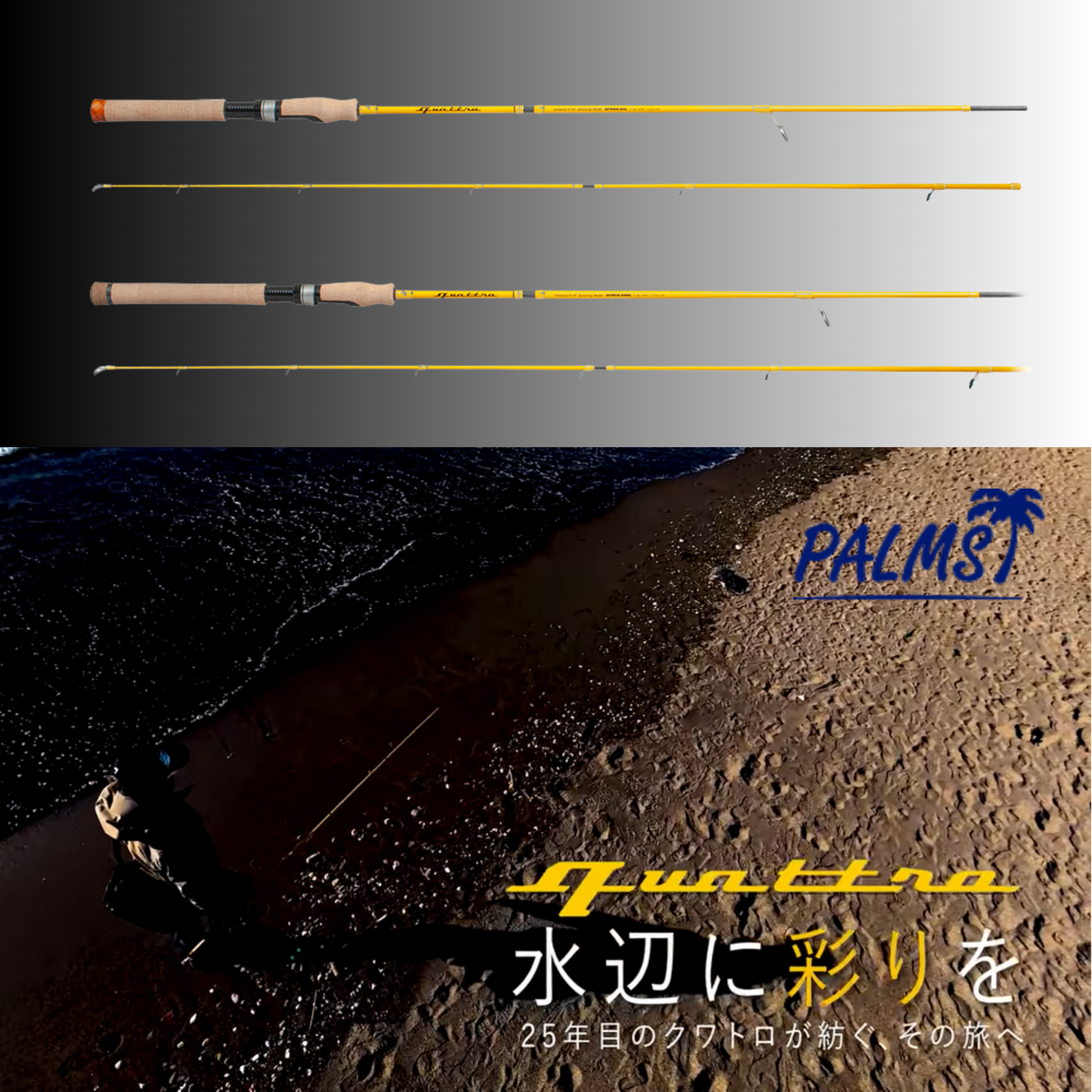 Palms Quattro 4th Generation Freshwater Trout | Bass Fishing Rod