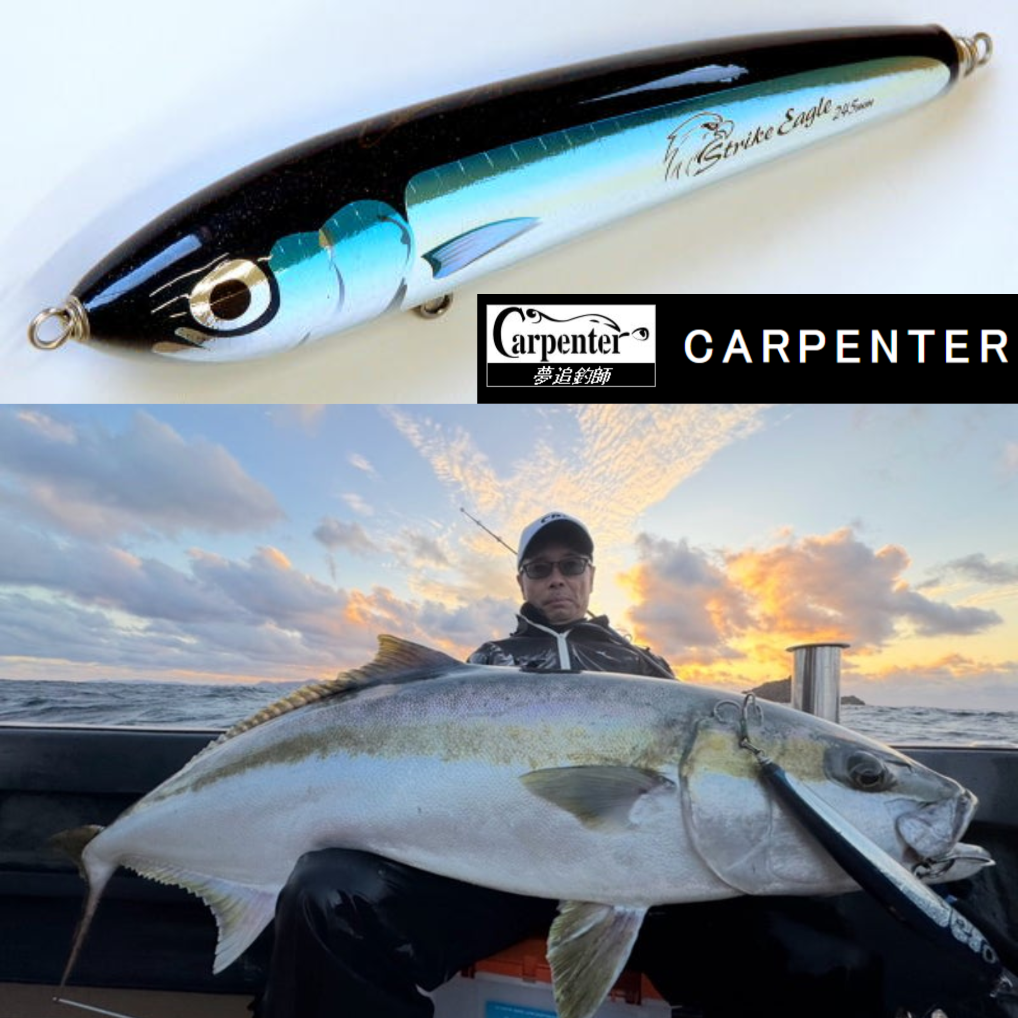 CARPENTER STRIKE EAGLE SE150 FG STICKBAIT