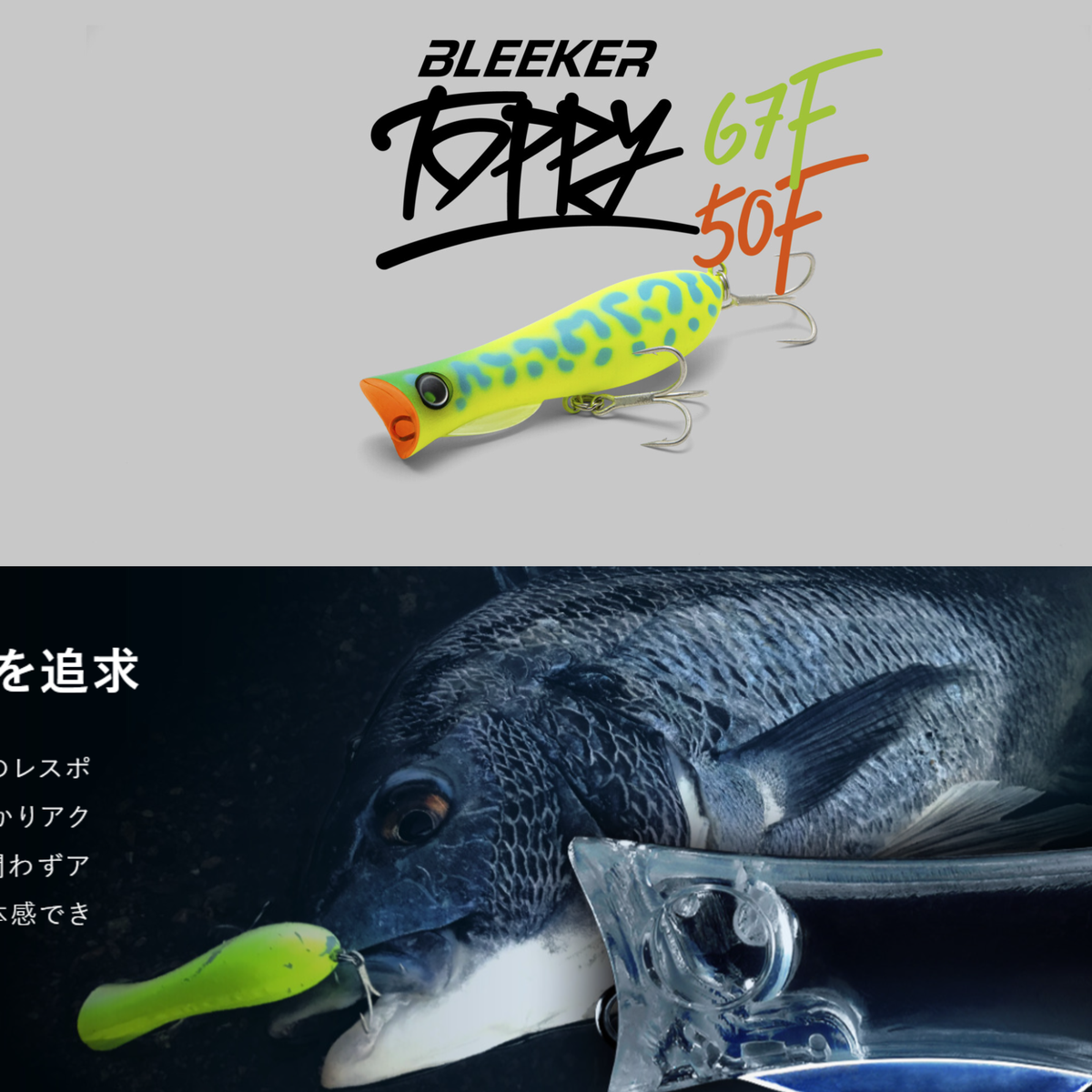 Jackall BLEEKER TOPPY 67F Popper