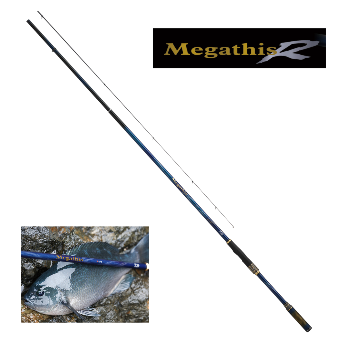 2026 Daiwa Megathis R ISO fishing Rod