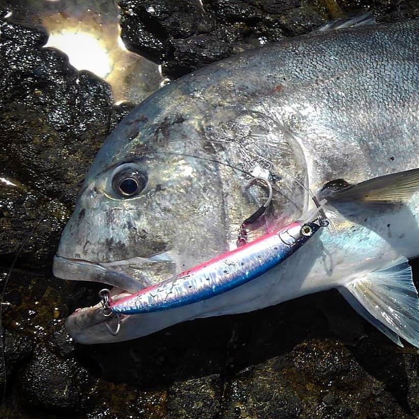 2019 MARIA BOAR SS195 85g Slow Sinking Minnow