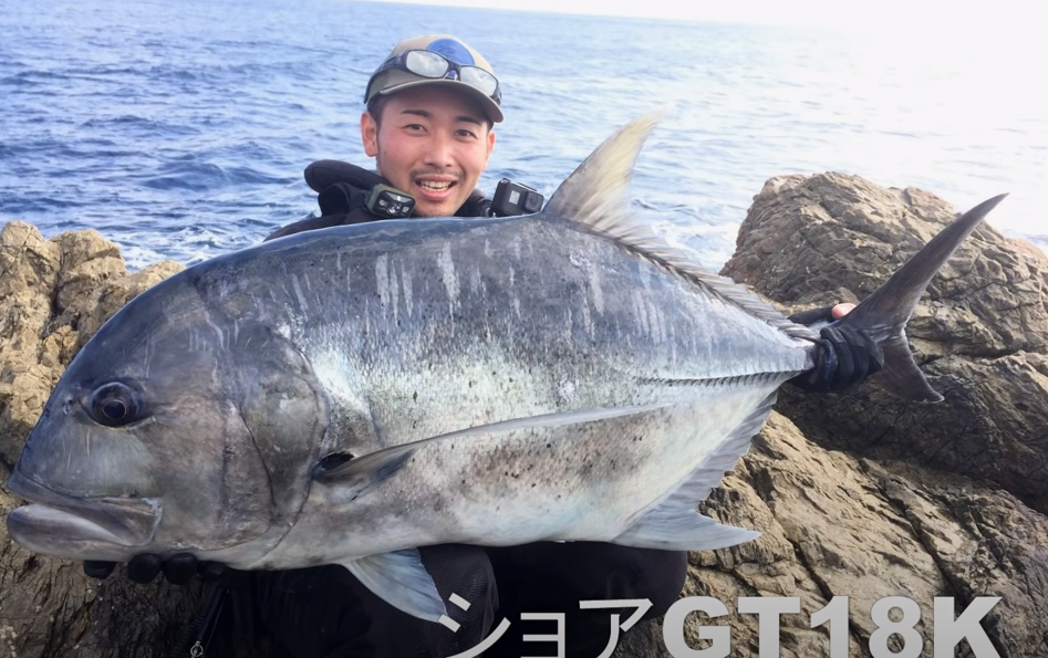 APIA GRANDAGE XD RODS FOR LAND BASED GAME FISHING