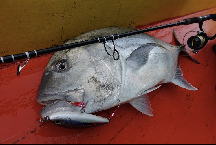 YAMAI SUTEKI PLUGGING DOUBLE HOOKS (new size 5/0 now available)