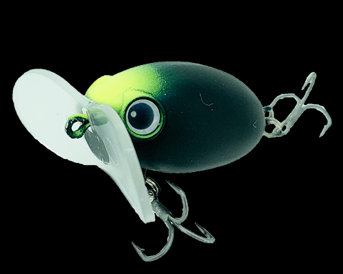 ZACT CRAFT ZAGUNA MICRO II