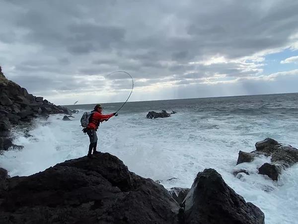 TRANSCENDENCE Empinado91S+