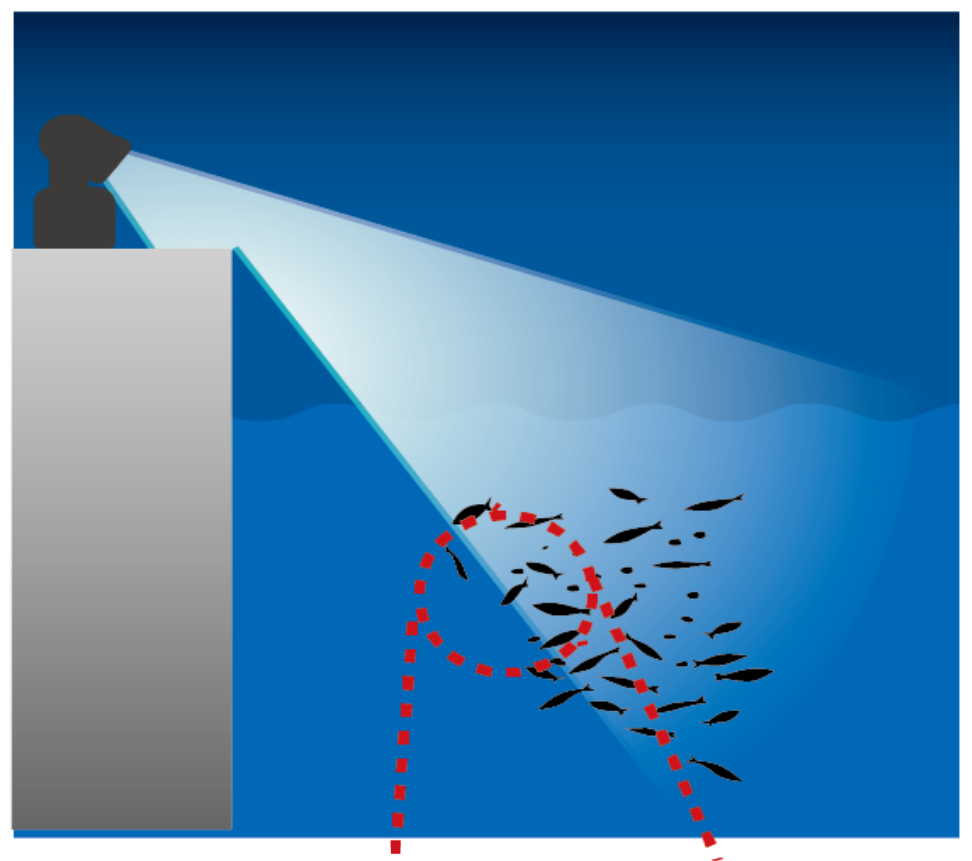 Haypson & Thirty Four  Ajing Light YF-502