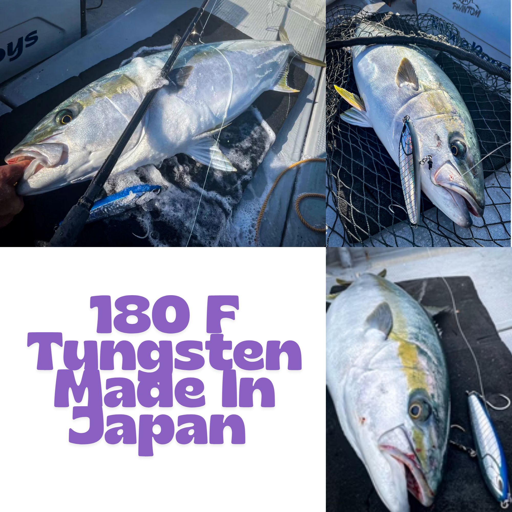 Nature Boys RAVEN (Watarigarasu) 180F October 2025 New releases