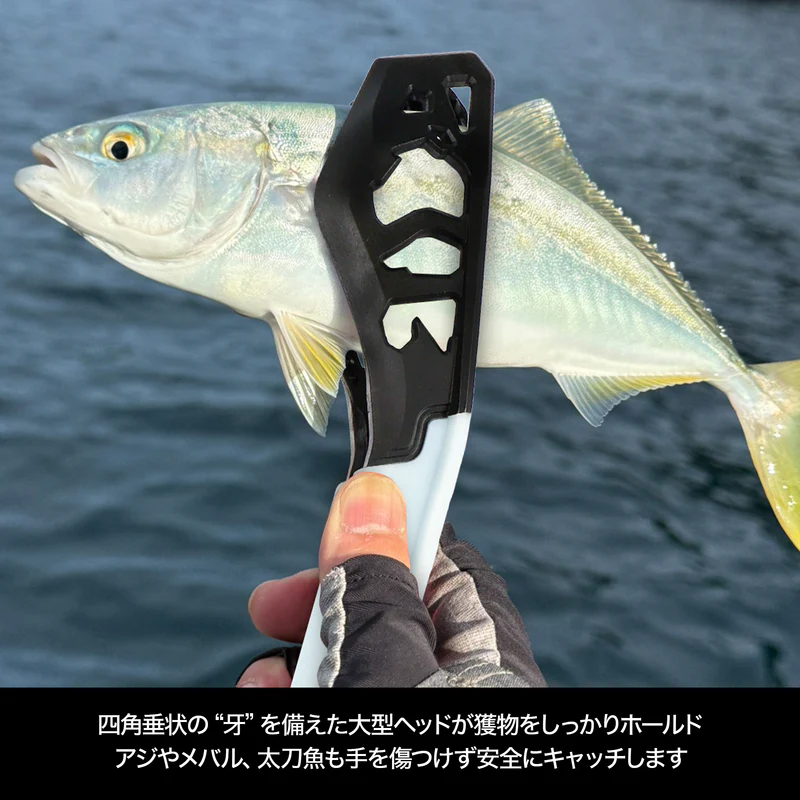 2026 DRESS DINO GRIP EVO Glow
