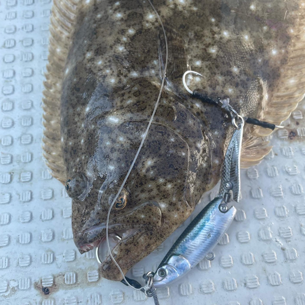 Little Jack HymiR 70 | 11.2g | 70mm