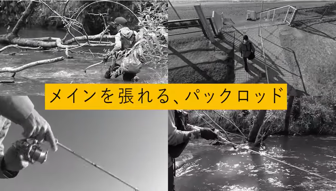 Palms Quattro 4th Generation Freshwater Trout | Bass Fishing Rod