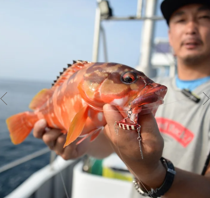 Magbite Snatch Bite Shad 4inch