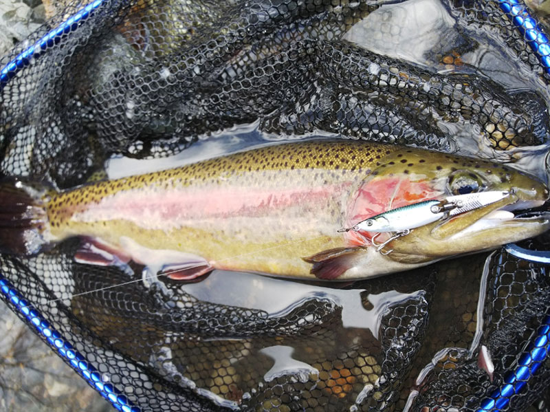 Little Jack HymiR 70 | 11.2g | 70mm