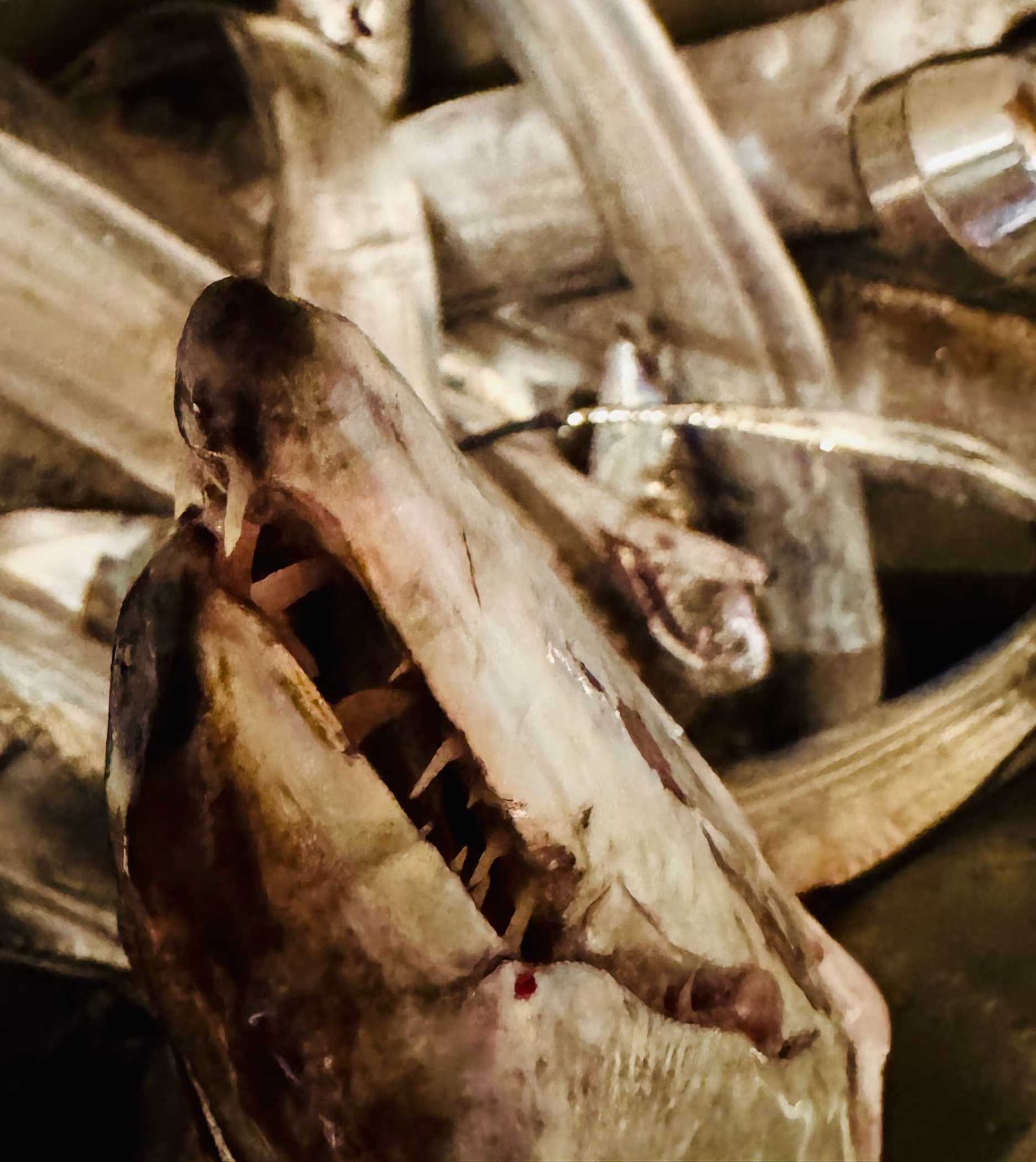 Belmont Switch Hairtail Scissors MP-298