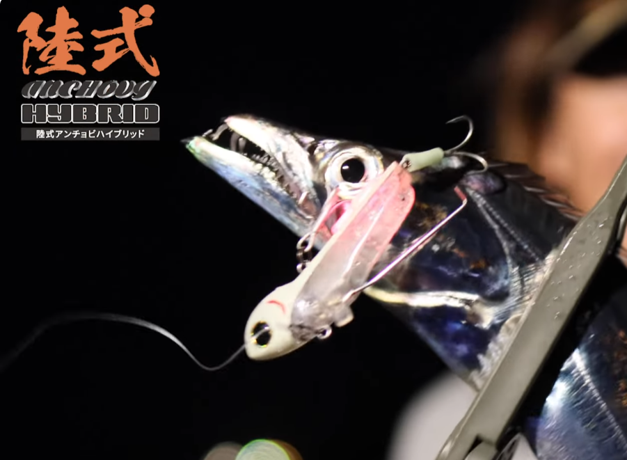 Jackall Land Style Anchovy Hybrid Hairtail Lure
