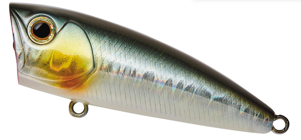 (JDM) DAIWA STEEZ POPPER 50F