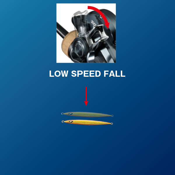 SHIMANO 2019 OCEA JIGGER F CUSTOM JIGGING REELS