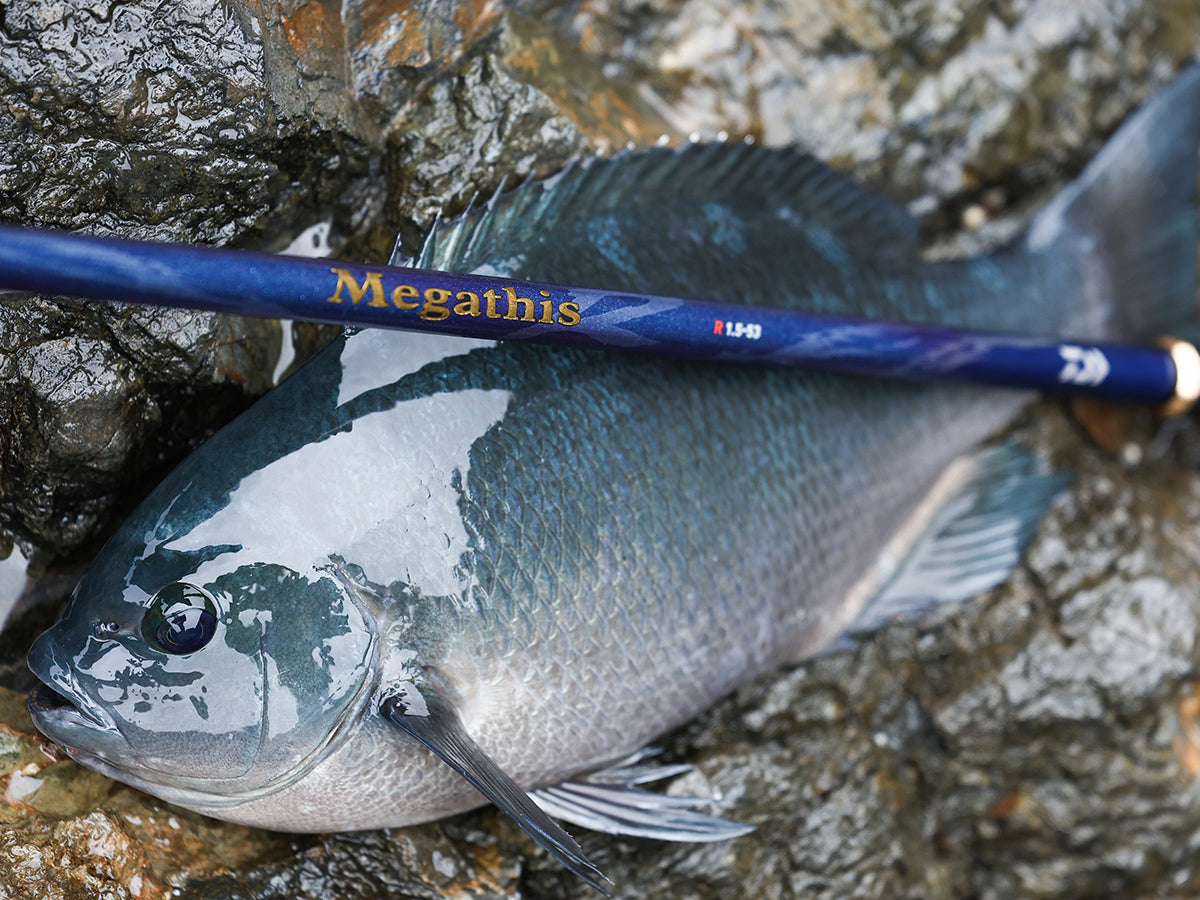 2026 Daiwa Megathis R ISO fishing Rod